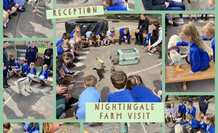 Image of Reception visit from Nightingale Farm