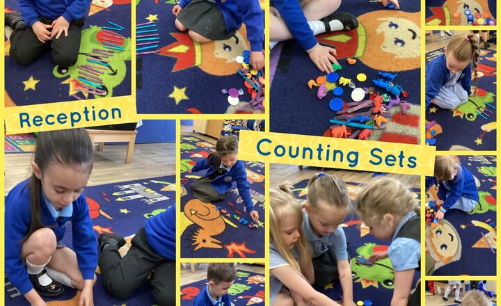 Image of Reception - Counting sets and Cardinality 