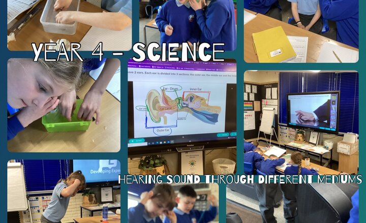 Image of Year 4 - Science: How Sound Travels