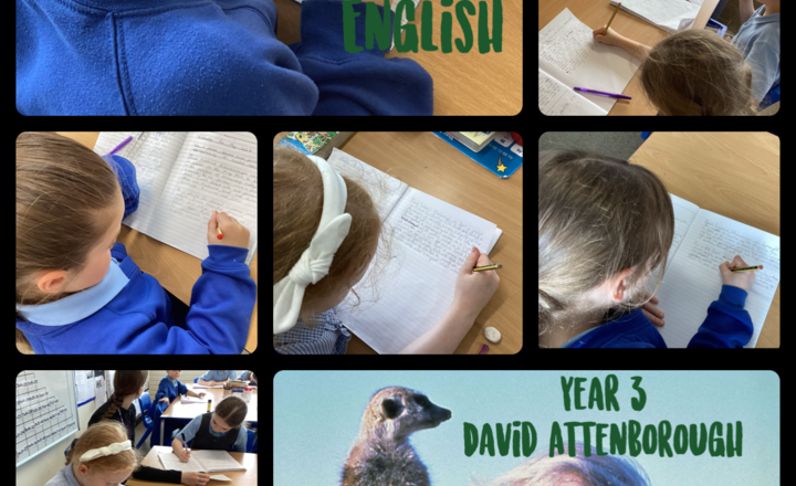 Image of Year 3- English- David Attenborough- Use nouns and pronouns appropriately to avoid repetition.