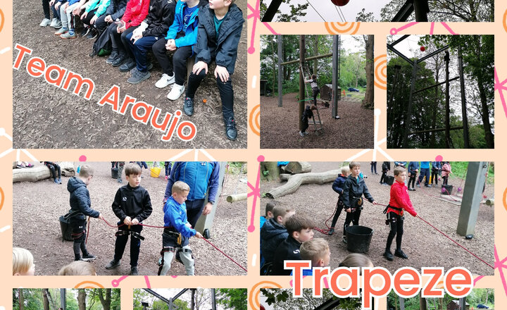 Image of Terrific Trapeze!