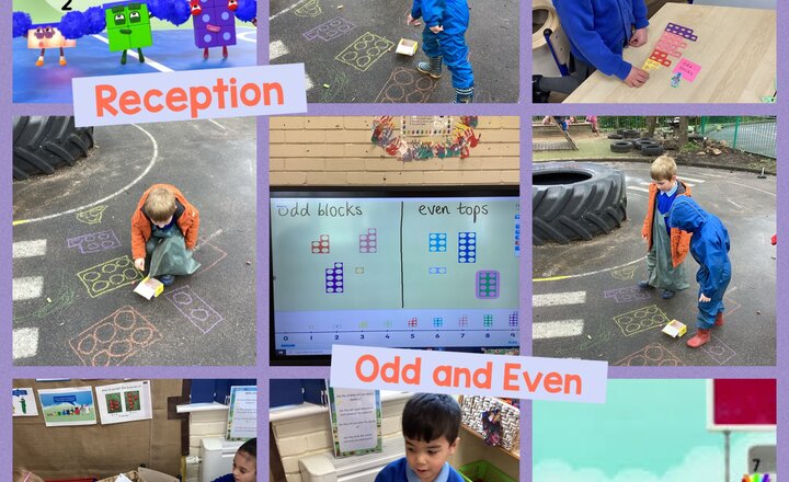 Image of Reception Maths - Odd or Even?