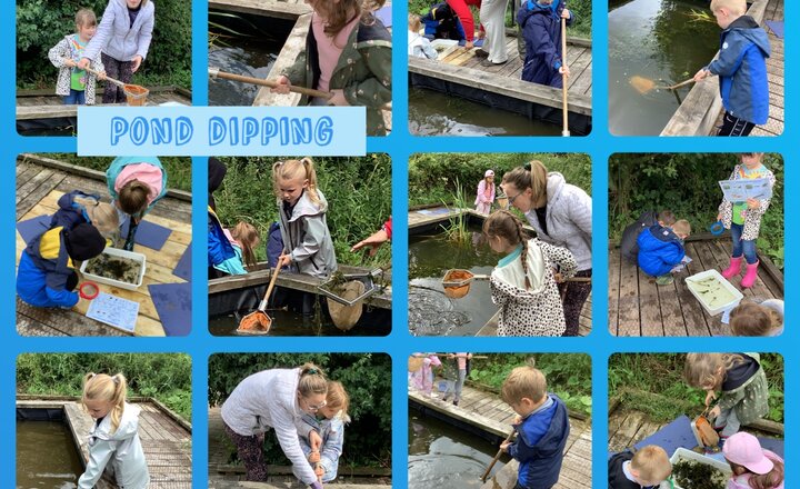 Image of Year 1 Pond dipping at Brockholes