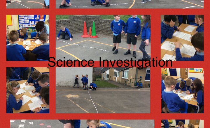 Image of Year 3 Science Investigation