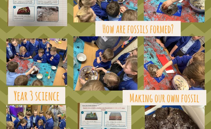 Image of Year 3 Science- How are fossils formed? 