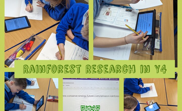 Image of Year 4 - Researching ecosystems in the Amazon rainforest