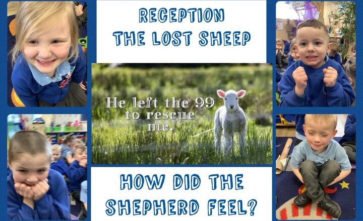 Image of Reception: The Lost Sheep