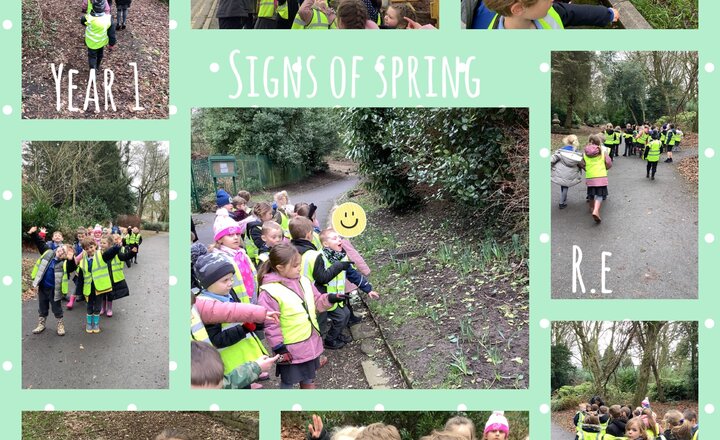 Image of Year 1- Signs of spring 