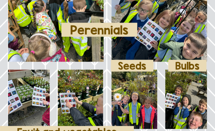 Image of Year 2 - Science trip to the garden centre