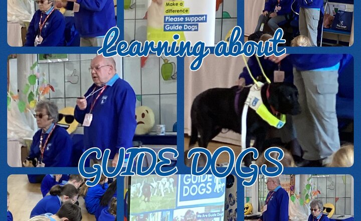 Image of Whole-School Worship - Guide Dogs