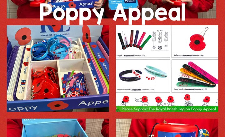 Image of Poppy Appeal 2023